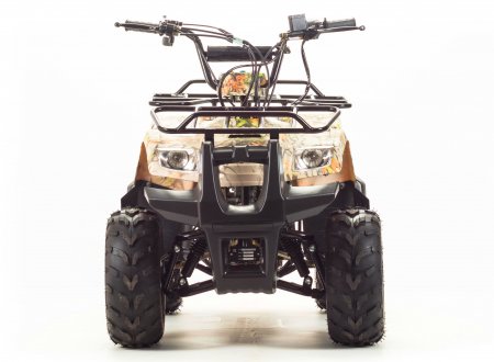  Motoland ATV 110 RIDER