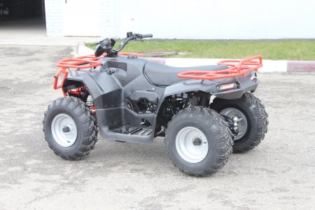  IRBIS ATV250 2503