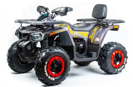  Motoland ATV 200 WILD TRACK X