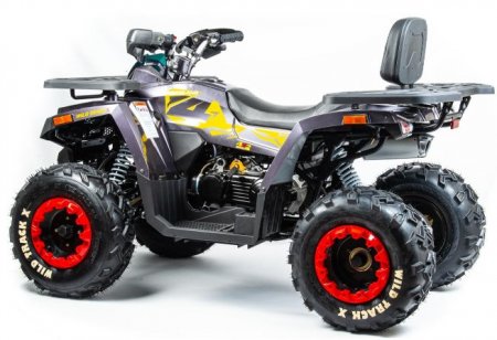  Motoland ATV 200 WILD TRACK X