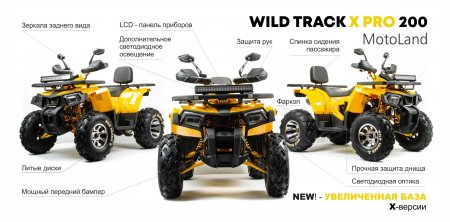  Motoland ATV 200 WILD TRACK X PRO